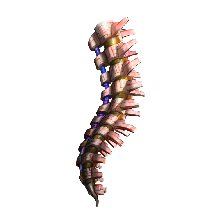 augment_spine_03