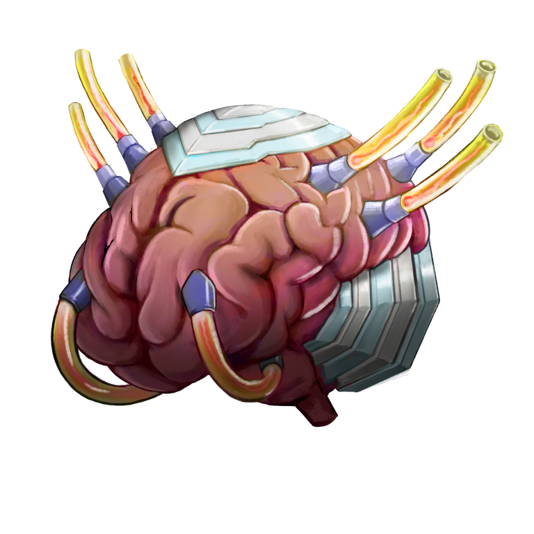 augment_brain_04