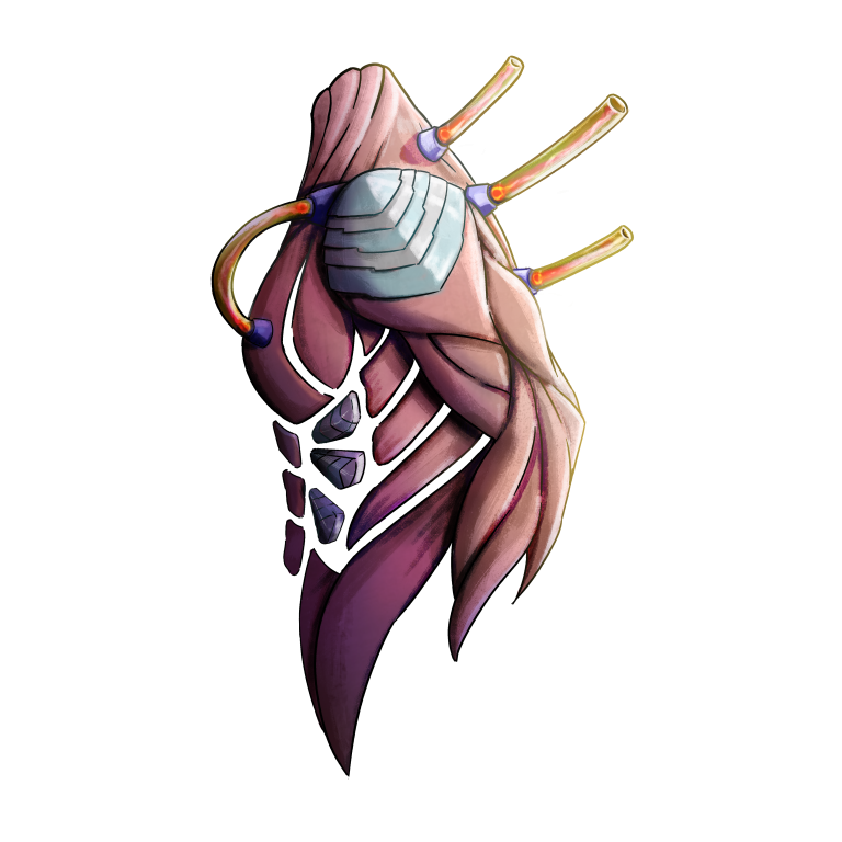augment_muscle_04